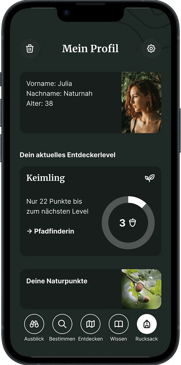 Mein Profil